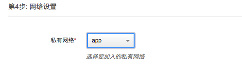 第4步: 网络配置